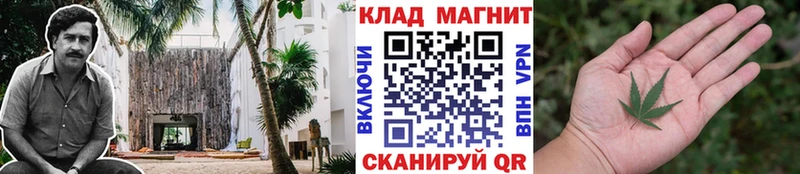 Купить наркотики сайты Назрань Псилоцибиновые грибы  ГАШ  Канабис 