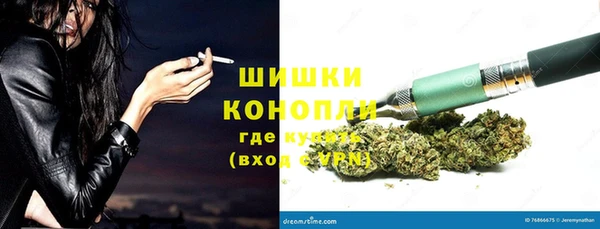 прущие грибы Красноперекопск