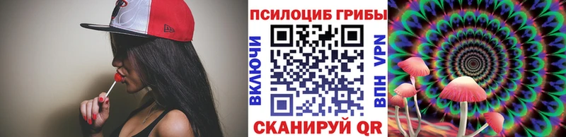 купить наркотик  сайты даркнета Telegram  Галлюциногенные грибы прущие грибы  Назрань 